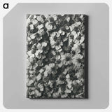 アートパネル-Achillea Millefolium - カール ブロスフェルト Canvas.