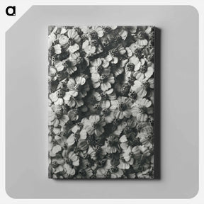 アートパネル-Achillea Millefolium - カール ブロスフェルト Canvas.