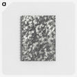 1-27_Karl-Blossfeldt_memo