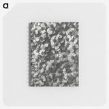 1-27_Karl-Blossfeldt_memo