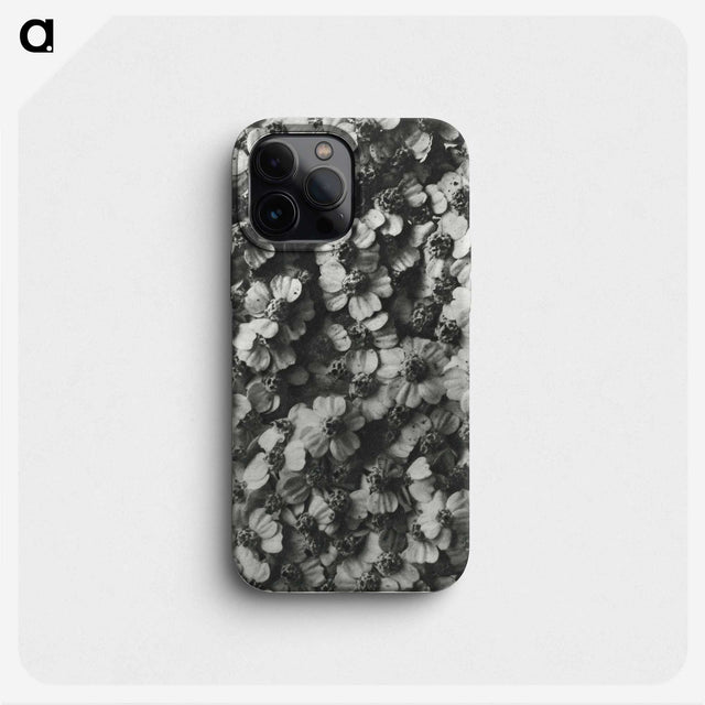 1-27_Karl-Blossfeldt_phone