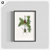 1-27_Le-Jardin-des-Plantes_blk