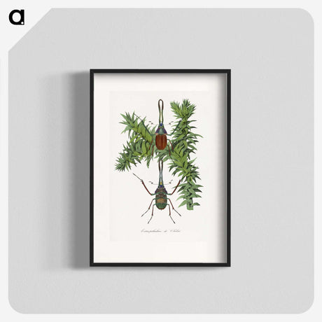 1-27_Le-Jardin-des-Plantes_blk