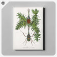 1-27_Le-Jardin-des-Plantes_canvas