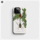 1-27_Le-Jardin-des-Plantes_phone