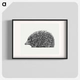 Hedgehog - レオ ヘステル Poster.