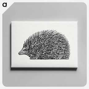 アートパネル-Hedgehog - レオ ヘステル Canvas.
