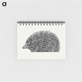 アートメモ帳-Hedgehog - レオ ヘステル Memo.