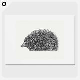 Hedgehog - レオ ヘステル Poster.