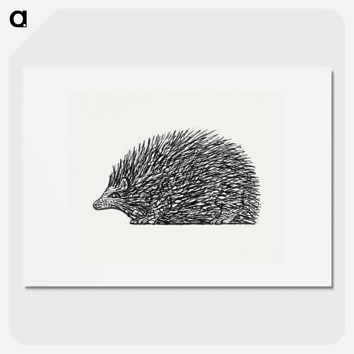 Hedgehog - Leo Gerstel Poster.