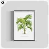 1-27_Les-Palmiers-Histoire-Iconographique_blk-crop