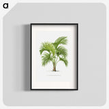 1-27_Les-Palmiers-Histoire-Iconographique_blk