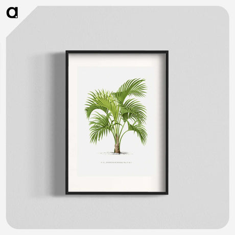 1-27_Les-Palmiers-Histoire-Iconographique_blk