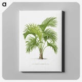 1-27_Les-Palmiers-Histoire-Iconographique_canvas