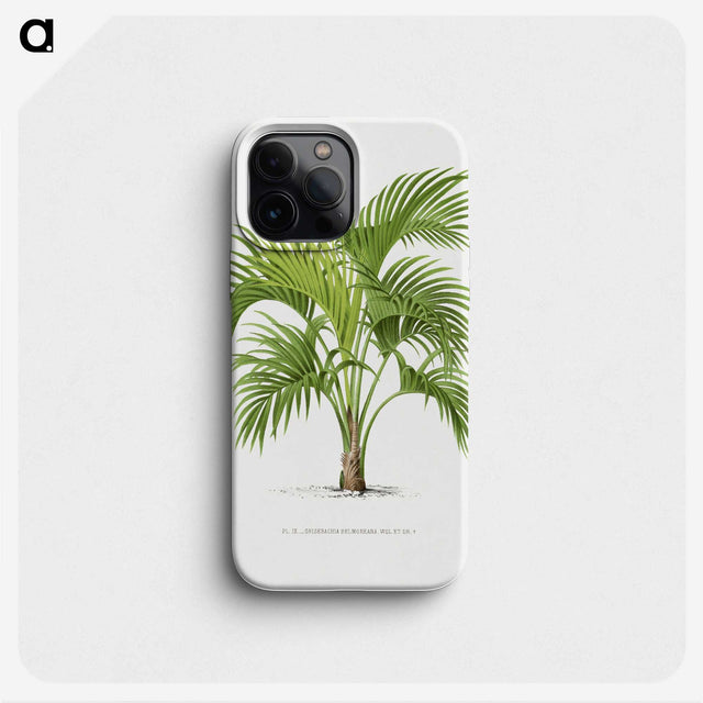 1-27_Les-Palmiers-Histoire-Iconographique_phone