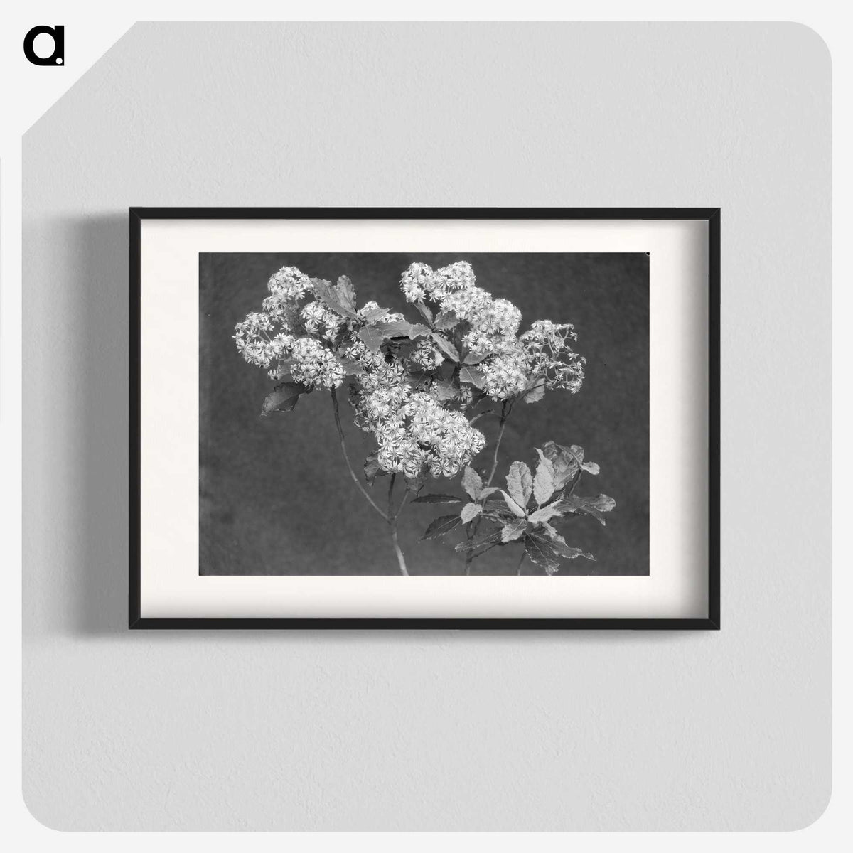 1-27_Leslie-Adkin_blk