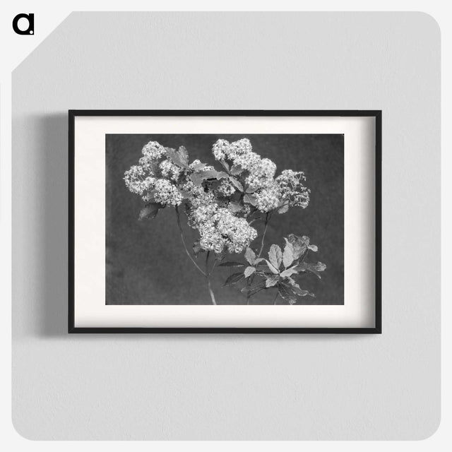 1-27_Leslie-Adkin_blk