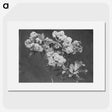 1-27_Leslie-Adkin_picture