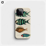 Moluccan Fishes
 - ルイ ルナール Phone Case.