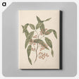 アートパネル-Rhus retinorrhoea
 - ルイージ バルガーニ Canvas.