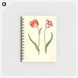 アートメモ帳-Tulipa Gesneriana
 - マリア ジビーラ メーリアン Memo.