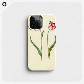 1-27_Maria-Sibylla-Merian_phone