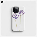 1-27_Mary-Vaux-Walcott_phone