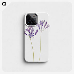 1-27_Mary-Vaux-Walcott_phone
