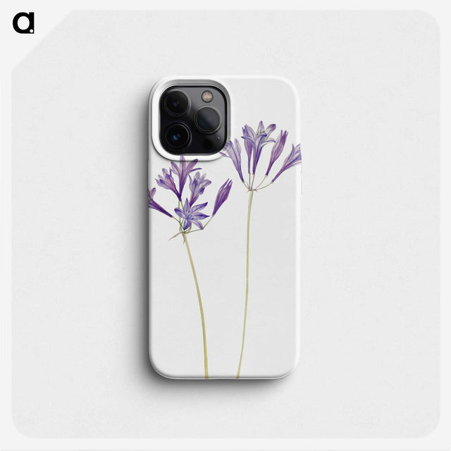 1-27_Mary-Vaux-Walcott_phone