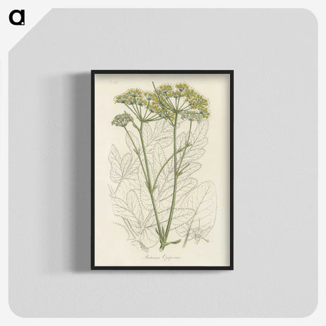 1-27_Medical-Botany_blk-crop