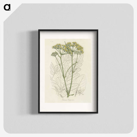 1-27_Medical-Botany_blk