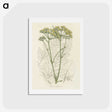 1-27_Medical-Botany_hagaki