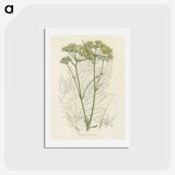 1-27_Medical-Botany_hagaki