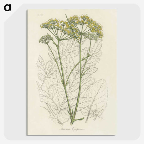 1-27_Medical-Botany_picture-crop