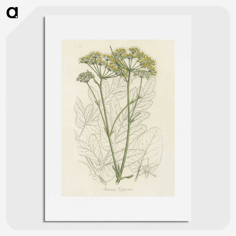 1-27_Medical-Botany_picture
