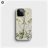 1-27_Native-Flowering-Plants-of-New-Zealand_phone