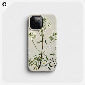 1-27_Native-Flowering-Plants-of-New-Zealand_phone