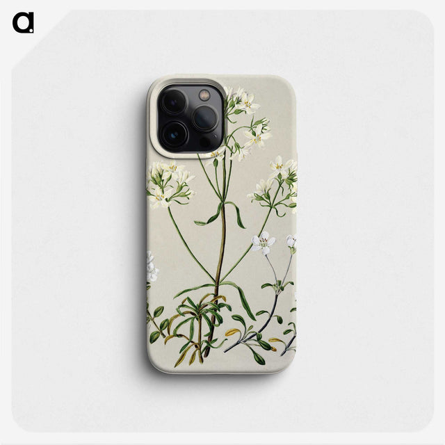 1-27_Native-Flowering-Plants-of-New-Zealand_phone