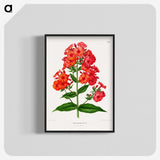 1-27_Nederlandsche-Flora-en-Pomona_blk-crop