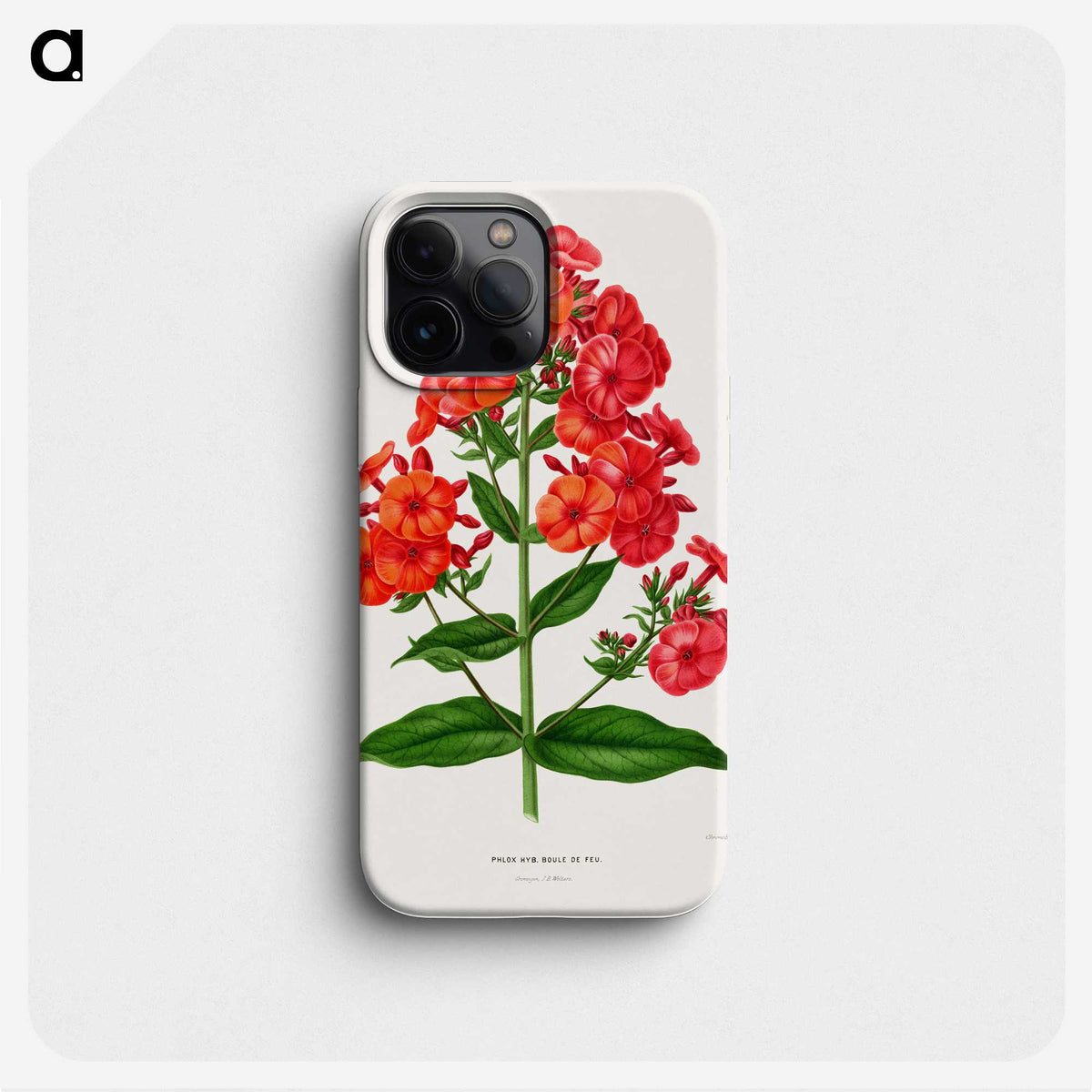 1-27_Nederlandsche-Flora-en-Pomona_phone