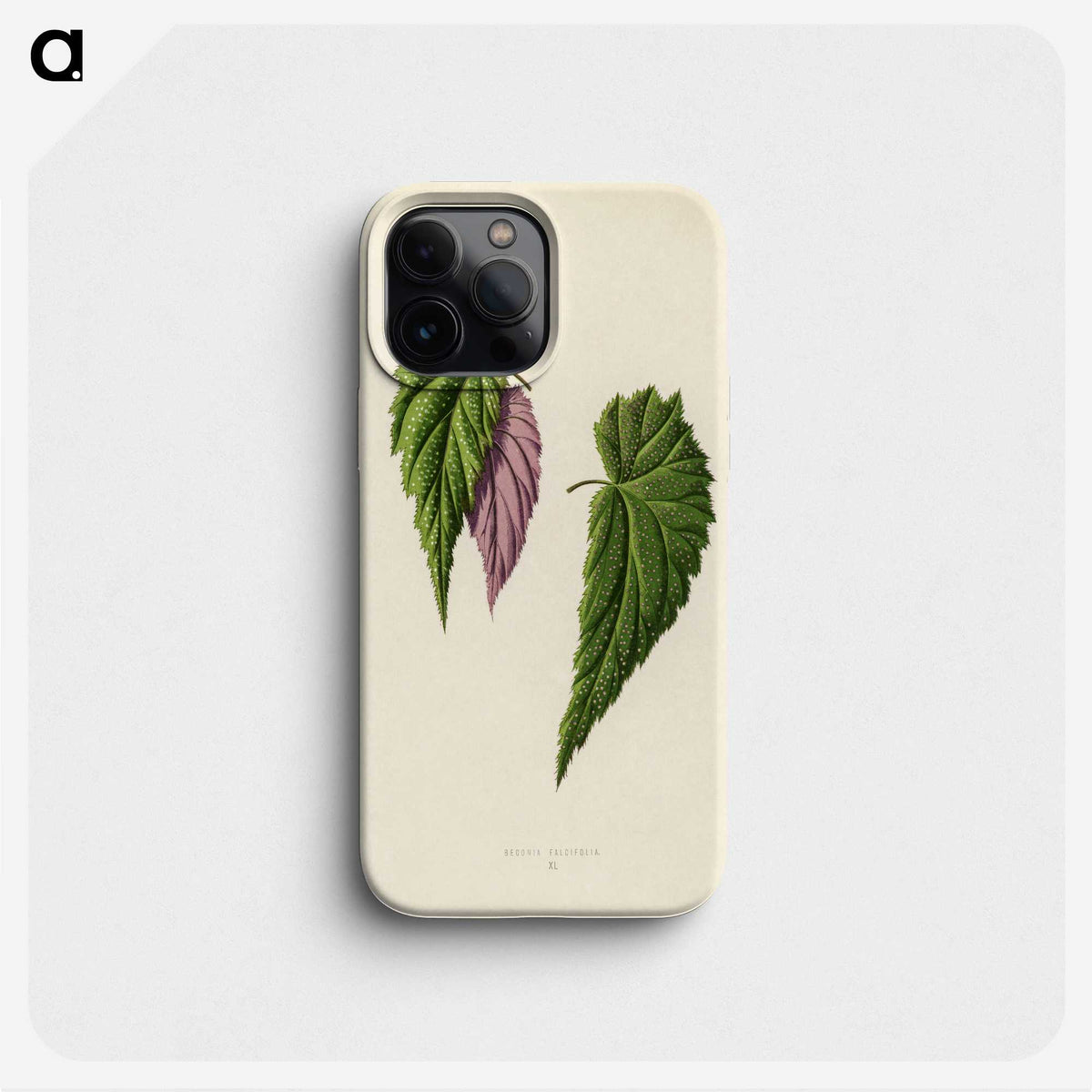 1-27_New-and-Rare-Beautiful-Leaved-Plants_phone