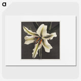 1-27_Ogawa-Kazumasa_picture