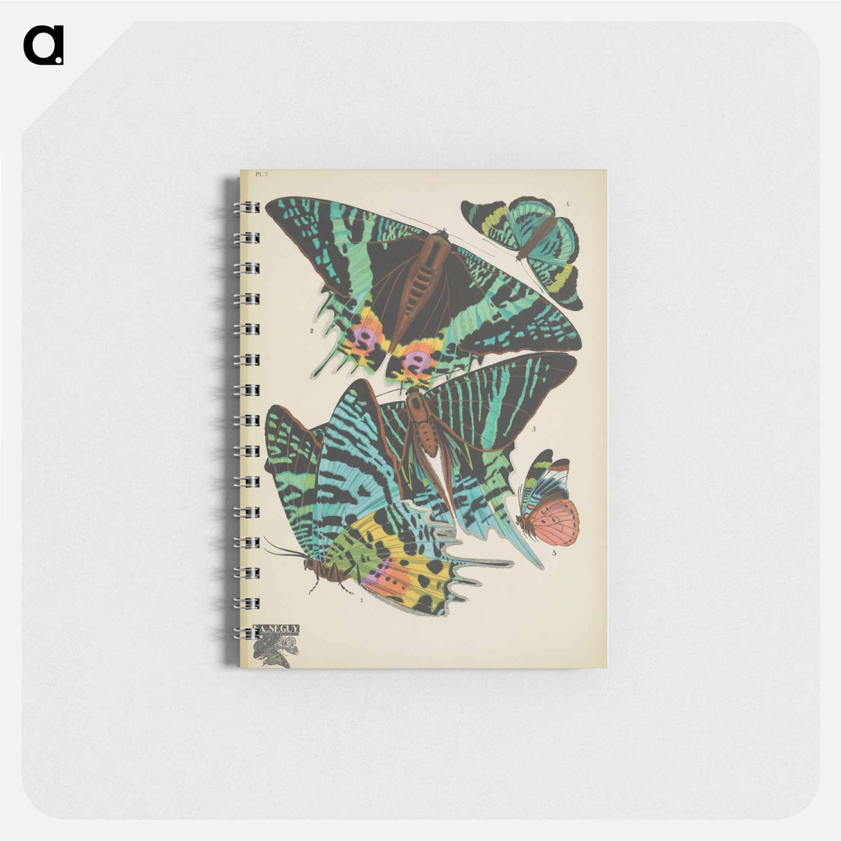 アートメモ帳-Vintage Butterflies
 - パピヨン Memo.