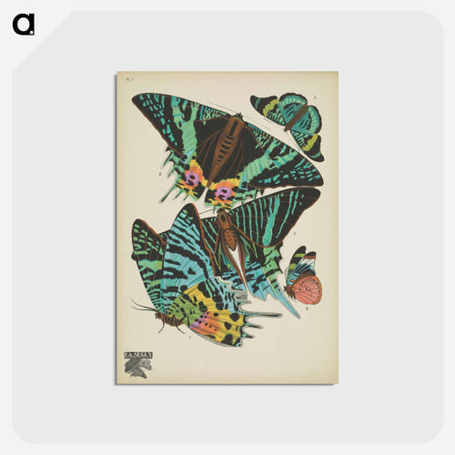 Vintage Butterflies
 - パピヨン Postcard.