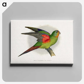 1-27_Parrots-in-Captivity_canvas