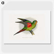 1-27_Parrots-in-Captivity_picture