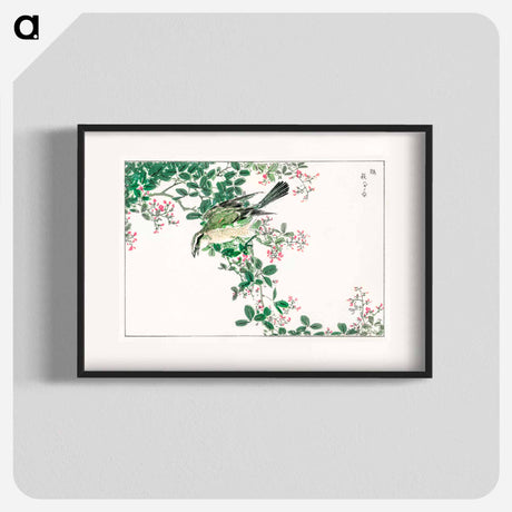 アートポスター-Bull-headed Shrike and Bush Clover
 - 鳥類図鑑 Poster.
