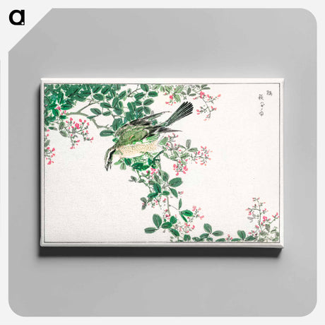 アートパネル-Bull-headed Shrike and Bush Clover
 - 鳥類図鑑 Canvas.