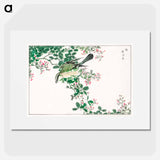 アートポスター-Bull-headed Shrike and Bush Clover
 - 鳥類図鑑 Poster.