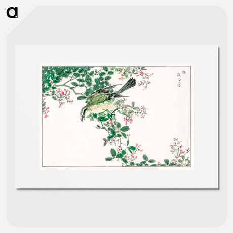 アートポスター-Bull-headed Shrike and Bush Clover
 - 鳥類図鑑 Poster.